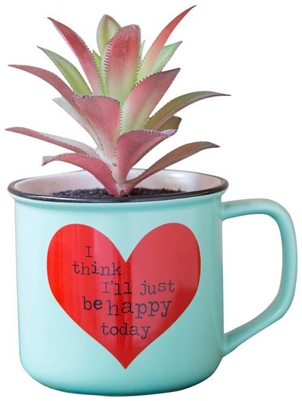 2-In-1 "I Think I'll Just Be Happy Today" Succulent & Coffee Mug ~